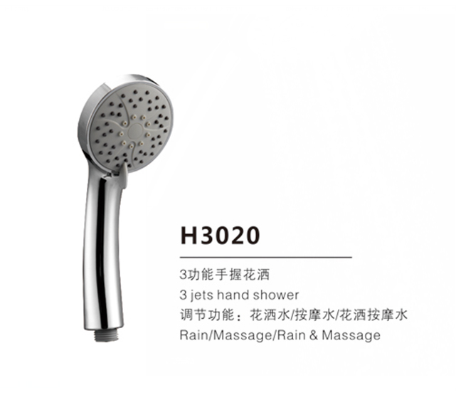 H3020