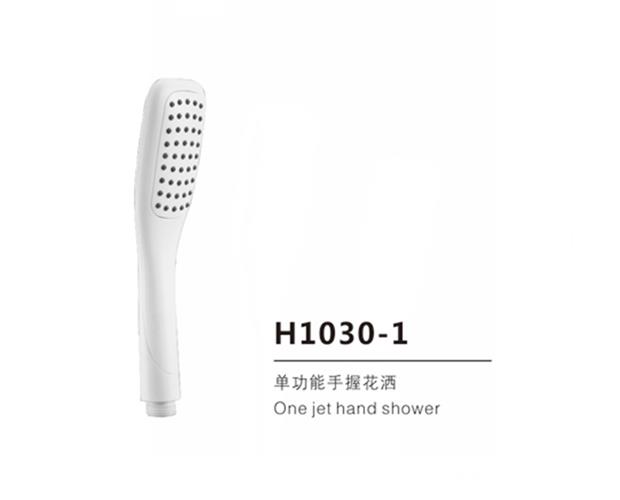 H1030-1